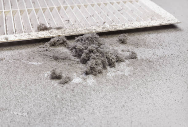 Best Air Duct Cleaning Near Me  in Ama, LA
