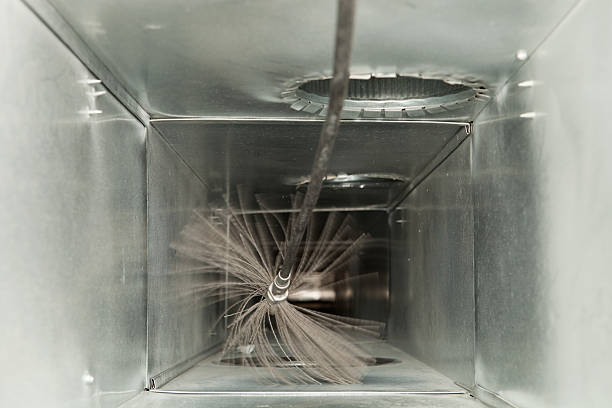 Best Professional Duct Cleaning Services  in Ama, LA