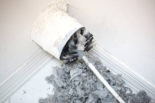 Best Ventilation Cleaning Services  in Ama, LA